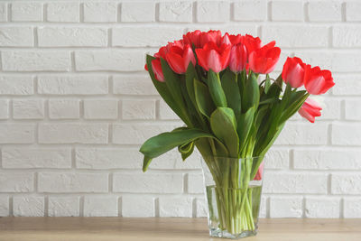 Close-up of flower in vase against wall