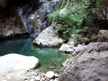 Stream amidst rocks and trees