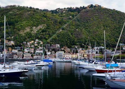 Boats moored at harbor