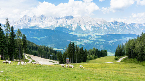 Panoramic view of landscape against sky