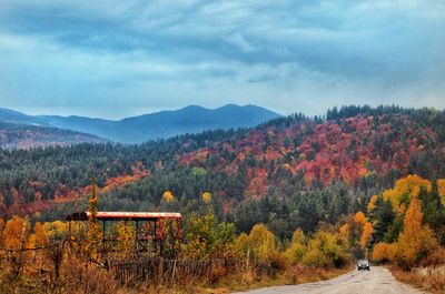 Scenic view of forest against sky during autumn