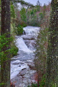 Scenic view of waterfall in forest