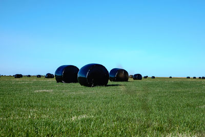 Hay bales on field against clear blue sky