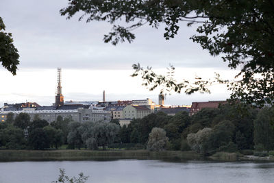 Trees and buildings by river against sky