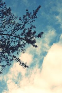 Low angle view of silhouette tree against sky