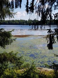 Scenic view of lake against sky