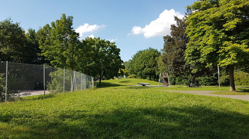 Trees in park