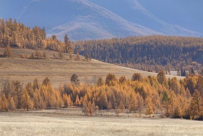 Scenic view of landscape against sky during autumn