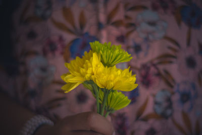 Close-up of hand holding yellow flower