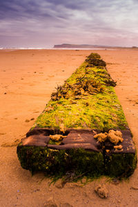 Scenic view of beach against sky during sunset