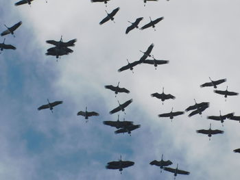 Low angle view of airplanes flying against sky