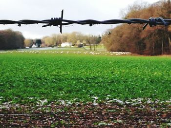 Scenic view of field against sky