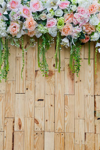 Close-up of flowering plants on wooden fence