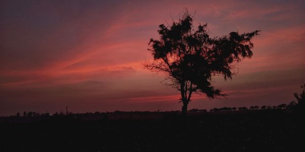 Silhouette tree against sky during sunset