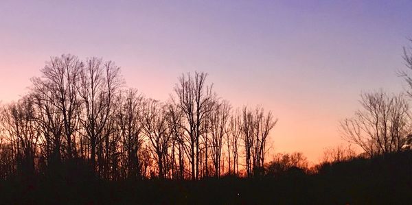 Silhouette bare trees against sky during sunset