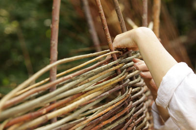 Cropped hands making wicker basket