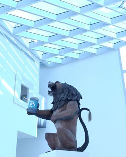 mammal