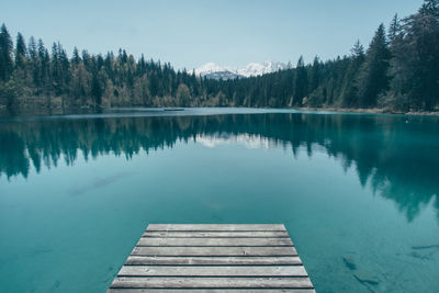 Reflection of trees in calm lake