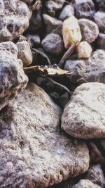 Full frame shot of rocks on beach