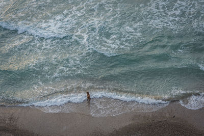 High angle view of dog on beach