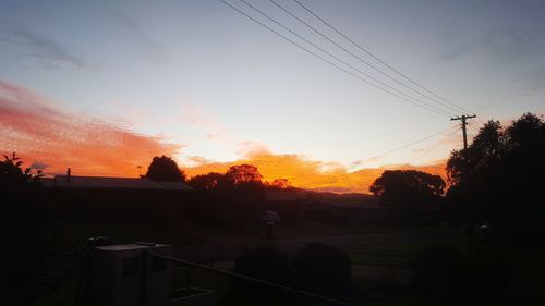 Silhouette of trees at sunset