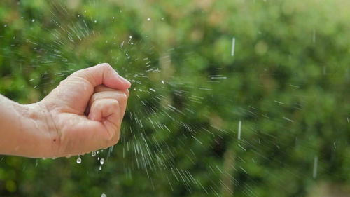 Cropped image of person hand on wet plants