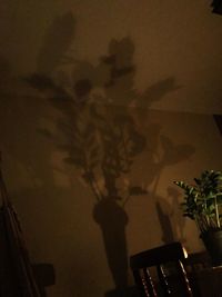 Low angle view of silhouette trees against sky at night