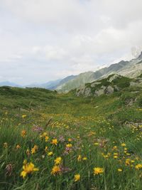 Scenic view of field and mountains against sky