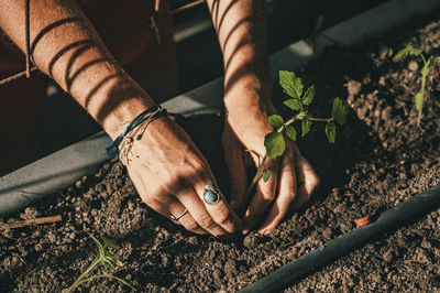 Close-up of hand planning a seed