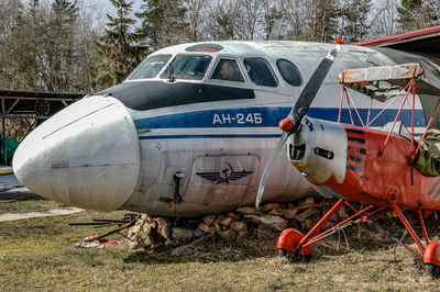 Abandoned airplane on tree