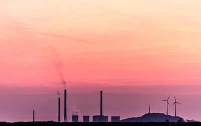 Scenic view  of sky with a big plant during sunset