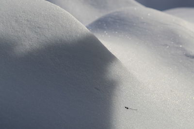 Full frame shot of snow on water