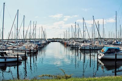 Sailboats moored at harbor against sky