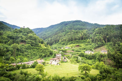 Scenic view of trees and mountains against sky