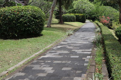 Footpath in garden