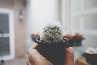 Close-up of person holding cup