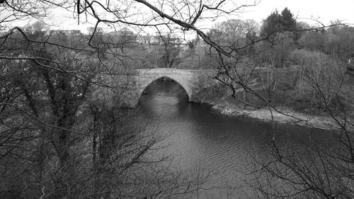 Arch bridge over river in forest