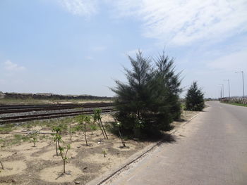 Road by trees in city against sky