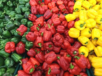 Full frame shot of red chili peppers for sale in market