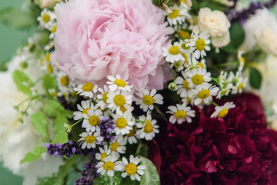 Close-up of pink flowers blooming outdoors