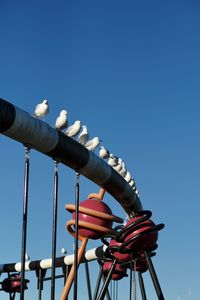 Low angle view of birds perching on railing against blue sky