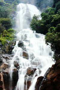 Waterfall in forest