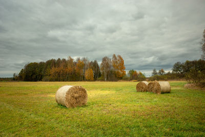 Hay bales in the meadow and autumn forest