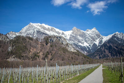 Scenic view of snowcapped mountains against sky