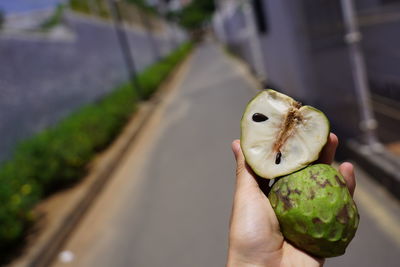 Close-up of hand holding fruit