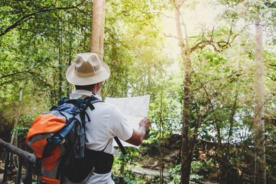 Rear view of man standing by trees in forest