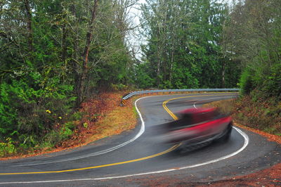 Blurred motion of trees by road