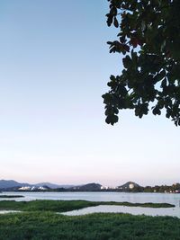 Scenic view of lake against clear sky