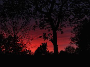 Low angle view of silhouette trees against sky at sunset