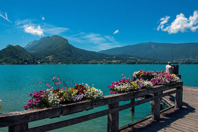 Pier with flowers on the annecy lake at the village of talloires, france.